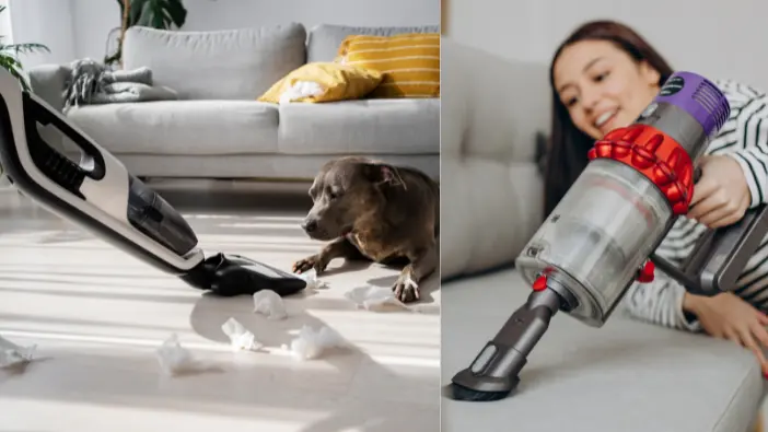 A woman uses a vacuum to clean her dog, ensuring a tidy and fur-free environment.